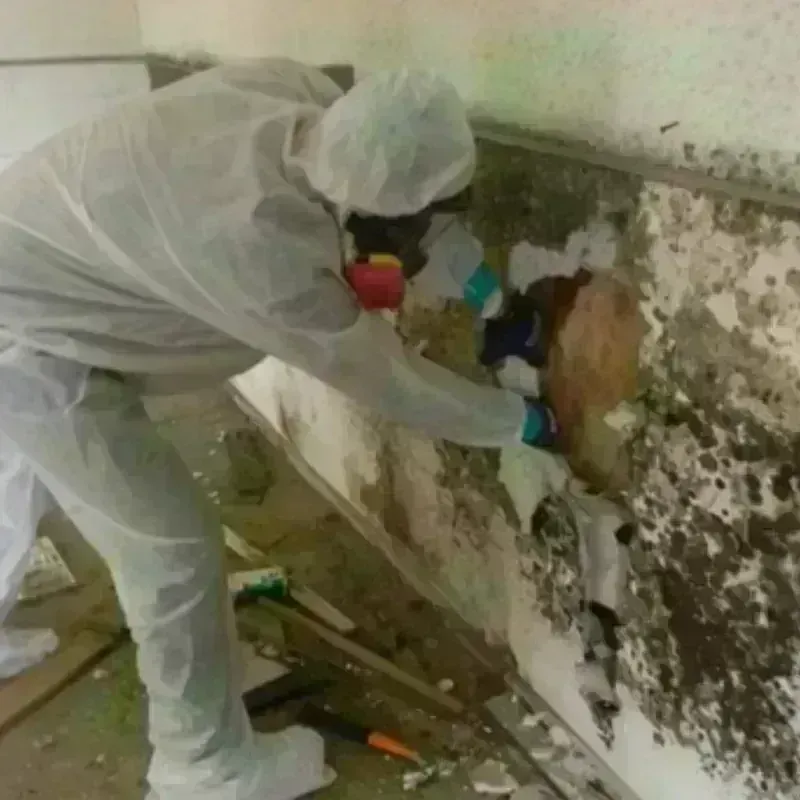 Mold Remediation and Removal in Sudbury, MA